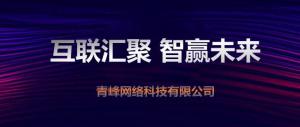 “互聯(lián)聚匯，智贏未來” 2019焦作青峰全網(wǎng)合作峰會(huì)***成功！